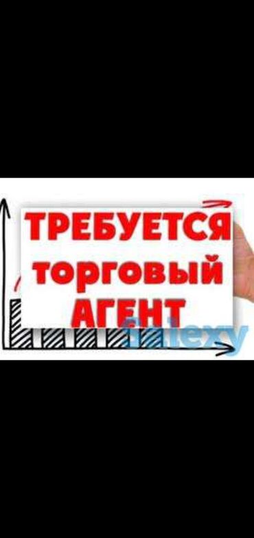 няня без опыта: В компанию требуется Торговый Агент с личным авто, по Ыссык-Кульскому