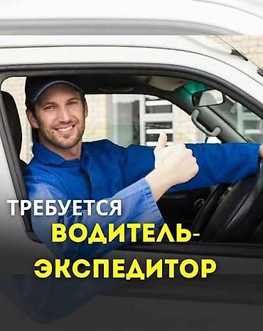 profile design: Требуется Водитель-экспедитор, Транспорт компании, Без опыта, Питание, Полный рабочий день, Мужчина — 1