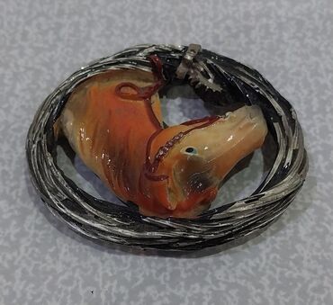 Fiqurlar: Fiqur — 17