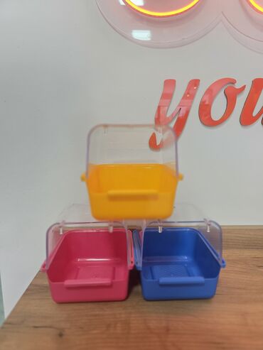 qaşqaldaq quşu: Təmizlik və əyləncə bir yerdə - quşlar üçün vanna! 🛁🐦 Taksilə