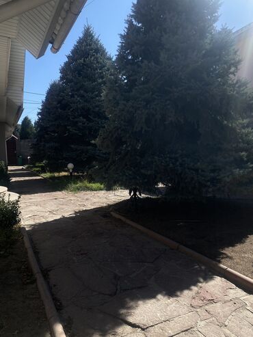 Долгосрочная аренда домов: 400 м², 7 комнат, Утепленный, Бронированные двери, Видеонаблюдение — 23