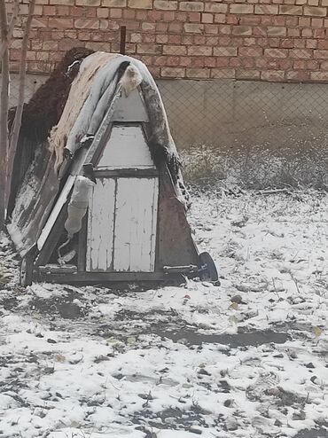 домик для кроликов: Дакан клетка эки этаж устуно кечинде конот