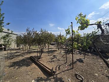 Torpaq sahələrinin satışı: Tikinti, Mülkiyyətçi -da lalafo.az — 2 Torpaq sahələrinin satışı: Tikinti, Mülkiyyətçi — 2