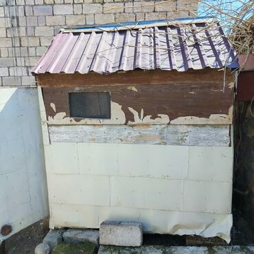 Yuvalar: Salam Aleykum Quşxana satılır istəyən olsa əlaqə saxlasın .hündürlük — 10