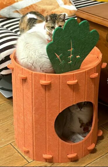 Зоотовары: Домик для котика. Материал типо войлока. Лёгкий, удобный. Коты не — 4