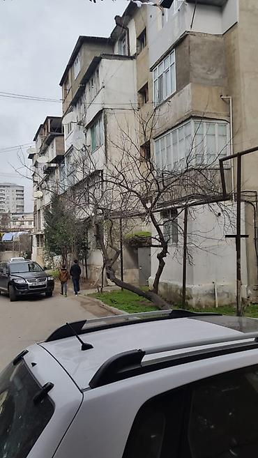 evler bine: Maklerlər heç bir halda narahat etməsinlər Mənzil Yasamal Ats və İran — 1
