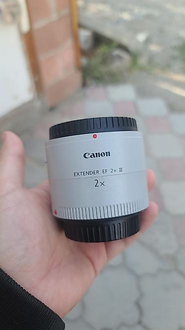 объективы: Телеобъектив Sigma 70–200mm f/2.8 APO DG HSM OS + телеконвертер Canon — 2