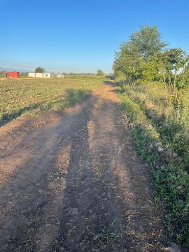 купить дом в новониколаевке: Для сельского хозяйства