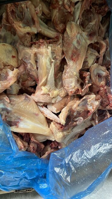 продаю кур: Тоок :, 10 кг ашык, Өзү алып кетүү