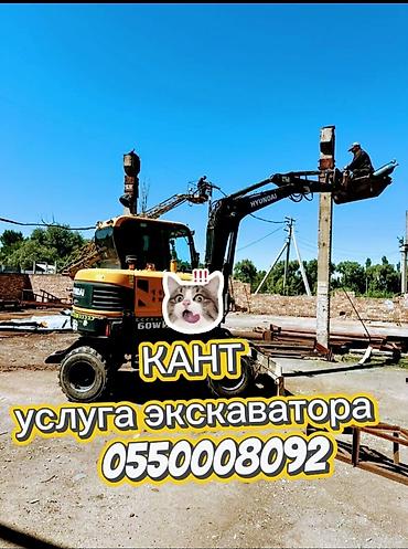 рохли подъемные: Услуги экскаватора | Планировка участка, Демонтаж, Выкорчевывание пней — 1