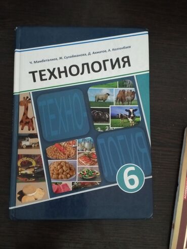 Детские книги: Книга Технология 6 класс автор книги ; Ч.Мамбеталиев. Ж. Сулайманова