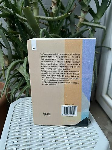 Bədii ədəbiyyat: Məhsul: Kitab – “Qanadsız Mələk” (sevgi romanı) Müəllif: Aysel Şıxlı — 2