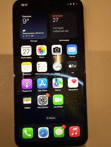 ios: IPhone Xs Max, Б/у, 256 ГБ, Серебристый, Чехол, 78 % — 4