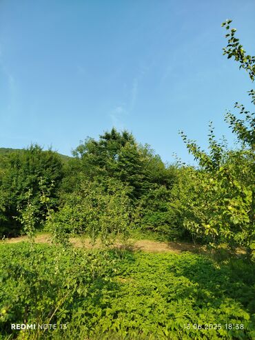 Torpaq sahələrinin satışı: 186 sot, Tikinti, Maklerlər narahat etməsin, Kupça (Çıxarış) — 26