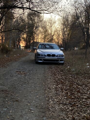 BMW: BMW 5 series: 1996 г., 2.8 л, Механика, Бензин, Седан — 3