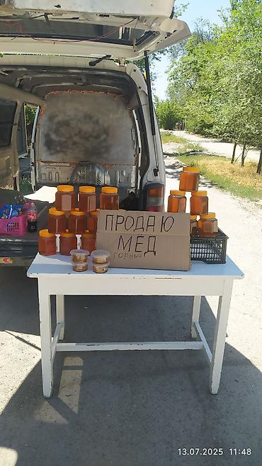 мясо реска: Продаю Горный мёд 100% натуральный - Сорт: горный моно/разнотравье с — 4