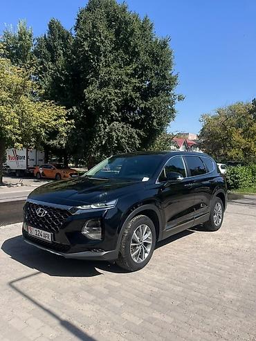 шина телешка: Hyundai Santa Fe: 2019 г., 2 л, Автомат, Бензин, Кроссовер — 3