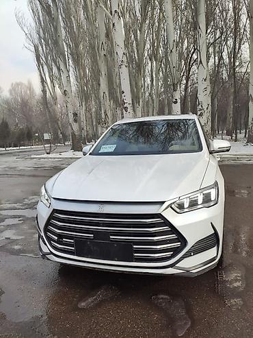 BYD: BYD Song Pro: 2022 г., 1.5 л, Гибрид, Кроссовер — 8