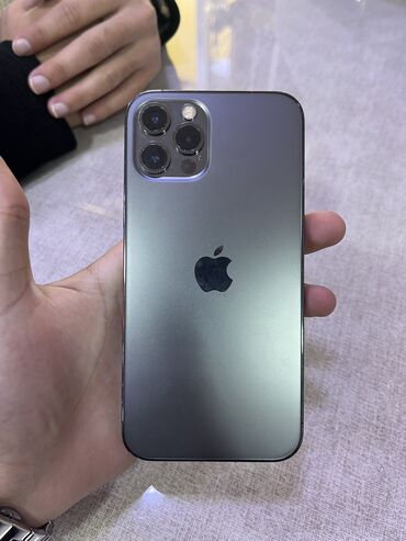 Apple iPhone: IPhone 12, 128 GB, Natural Titanium, Face ID