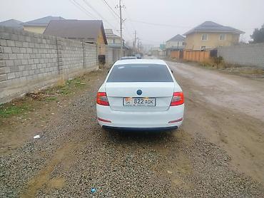 Skoda: Skoda Octavia: 2016 г., Седан — 5