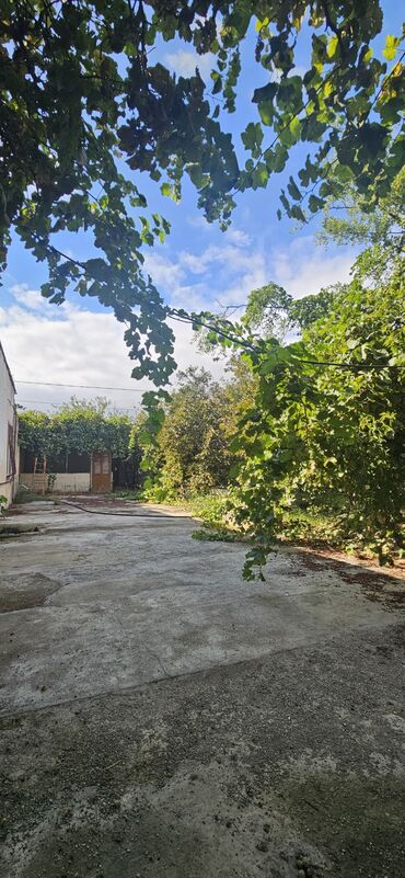 Torpaq sahələrinin satışı: 48 sot, Kənd təsərrüfatı, Kupça (Çıxarış) — 20