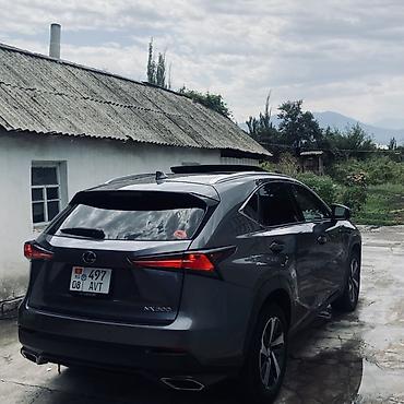 nd фильтр бишкек: Lexus NX: 2019 г., 2 л, Автомат, Бензин, Кроссовер — 6
