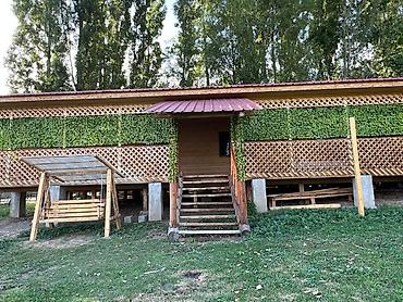 Хостелы: Гостевой дом на природе (деревянный дом на сваях) - Просторный — 13