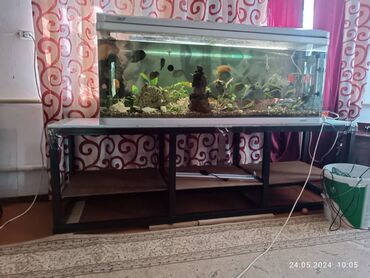 Зоотовары: На 400 литров!!!❤️Продается заводской аквариум Продается в полной