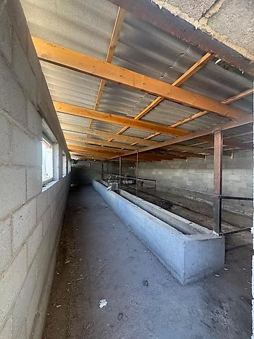 Продажа коттеджей и домов: 5 комнат, 100 м², 15 соток, Чон-Сары-Ой, Собственник — 15
