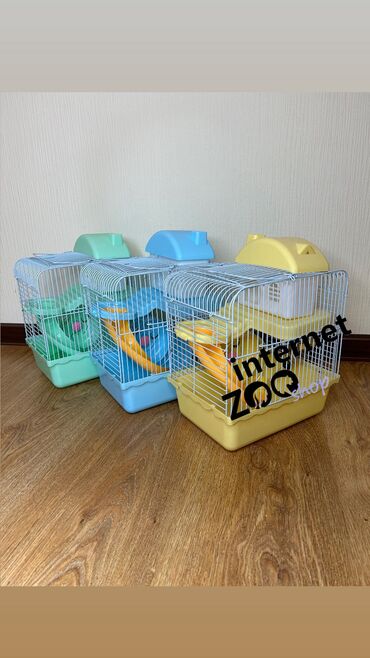 Хомяки: Продаются хомячки джунгарские, сирийские, ангорские пушистые хомячки — 29