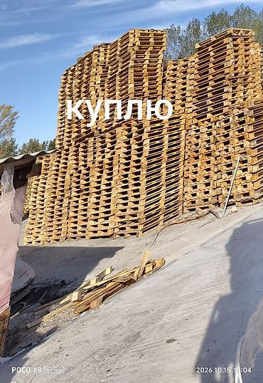 продам ковры бу: Куплю паддоны
паддон сатып алабыз — 1