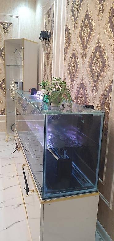 akvarium lampa: 450 litr həcmli böyük akvarium satılır. (2000₼ pul qoyulub) premium — 6