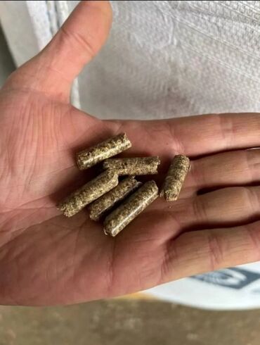 Yem üyüdən aparatlar: Patron yemi hazırlayan maşınlar satılır. ( Гранулятор ). Maşınların — 10