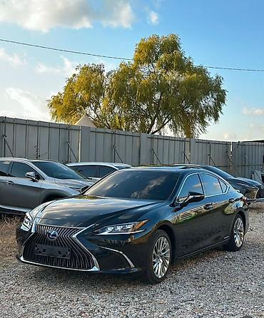 лексус ем: Lexus ES: 2020 г., 2.5 л, Автомат, Гибрид, Седан — 1