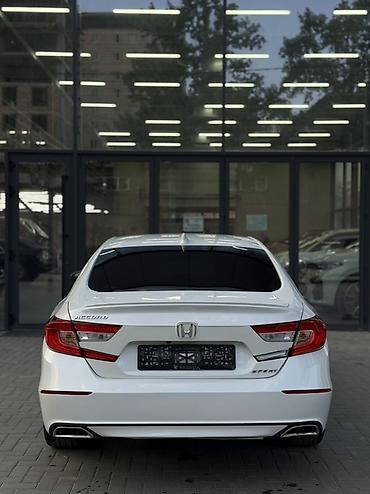 потолок хонда аккорд: Honda Accord: 2019 г., Вариатор, Бензин, Седан — 8
