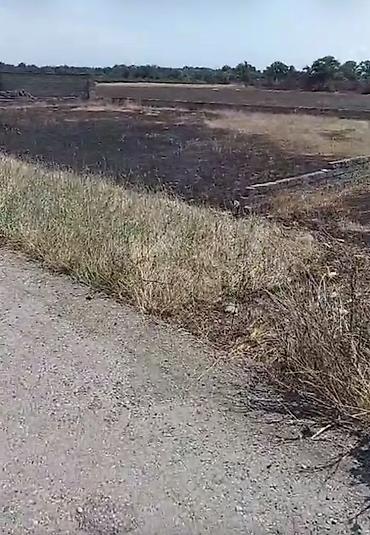 sekide torpaq sahesi satilir: 12 sot, Tikinti, Kupça (Çıxarış) — 1