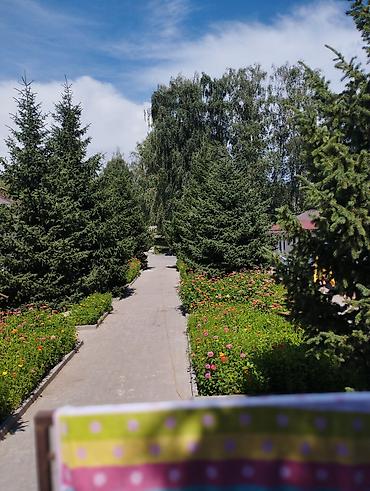 Иссык-Куль 2026: Номер, НЕПТУН Детская площадка, Парковка, стоянка, Охраняемая территория — 18