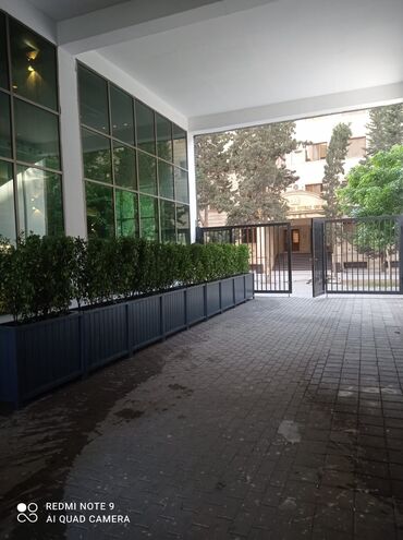 Bitkilər üçün dibçəklər: Dibçək güldanlar. Dipçəklər bir başa sexdən.Sex qiymətinə. ♦️Endrim — 4