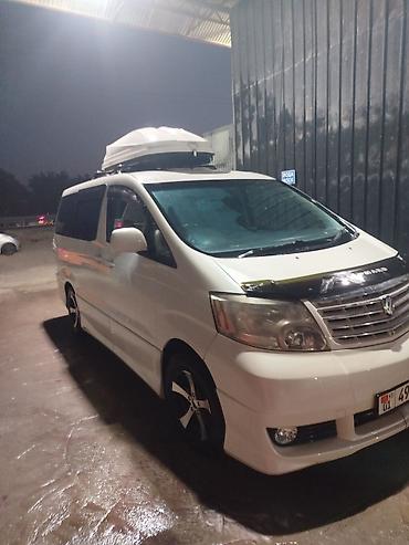 алфард левый: Toyota Alphard: 2003 г., 3 л, Вариатор, Газ — 7