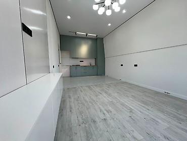 56: 2 комнаты, 56 м², Аламедин-1 мкр Элитка, 4 этаж, Евроремонт — 4