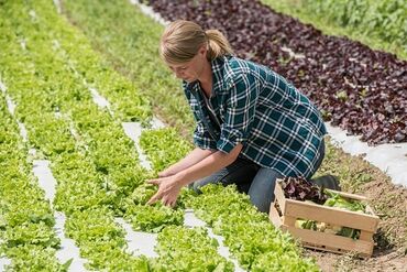 времянка дом: Нужна женщина домработница с проживанием. Обязанности: собирать