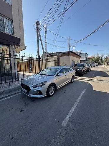 solar: Аренда авто в сутки и долгий срок Аренда авто для доставки Хонда фит — 1