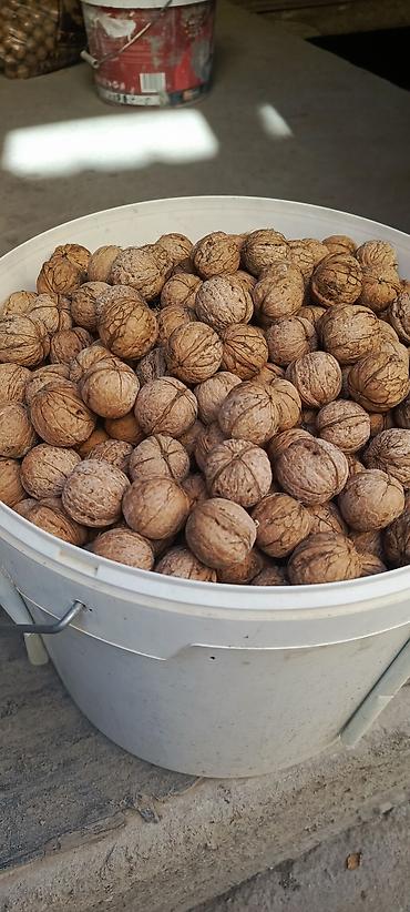 Продаю орехи 85 с at lalafo.kg Продаю орехи 85 с