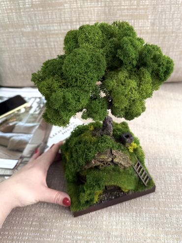 Декоративные цветы: Деревья-бонсай из натурального стабилизированного мха🌳 -это — 40