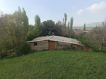 пасеки: 15 соток, Для строительства, Красная книга — 4