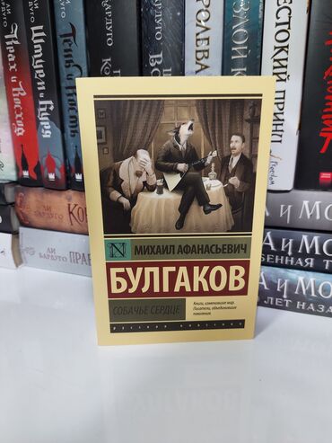 Bədii ədəbiyyat: Rus dilində klassik və müasir ədəbiyyat toplaması – müxtəlif müəllif — 15