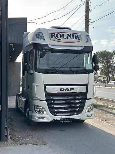 e6 3: Тягач, DAF, 2019 г. — 3