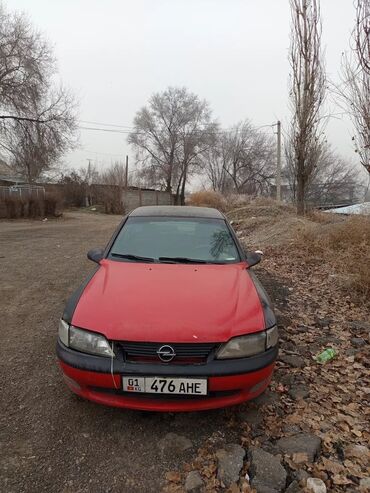 Opel: Opel Vectra: 1997 г., 2 л, Механика, Бензин, Седан