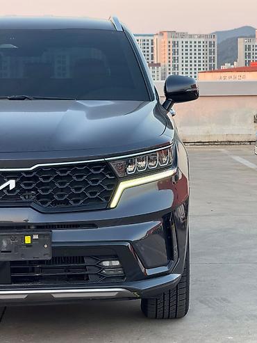 Kia: Kia Sorento: 2021 г., Кроссовер — 14