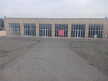 İcarəyə mağazalar: Bərdə şəhərində 500 kv.m mağaza icarəyə verilir 📍 Yer: Bərdə şəhəri -da lalafo.az — 1 İcarəyə mağazalar: Bərdə şəhərində 500 kv.m mağaza icarəyə verilir 📍 Yer: Bərdə şəhəri — 1